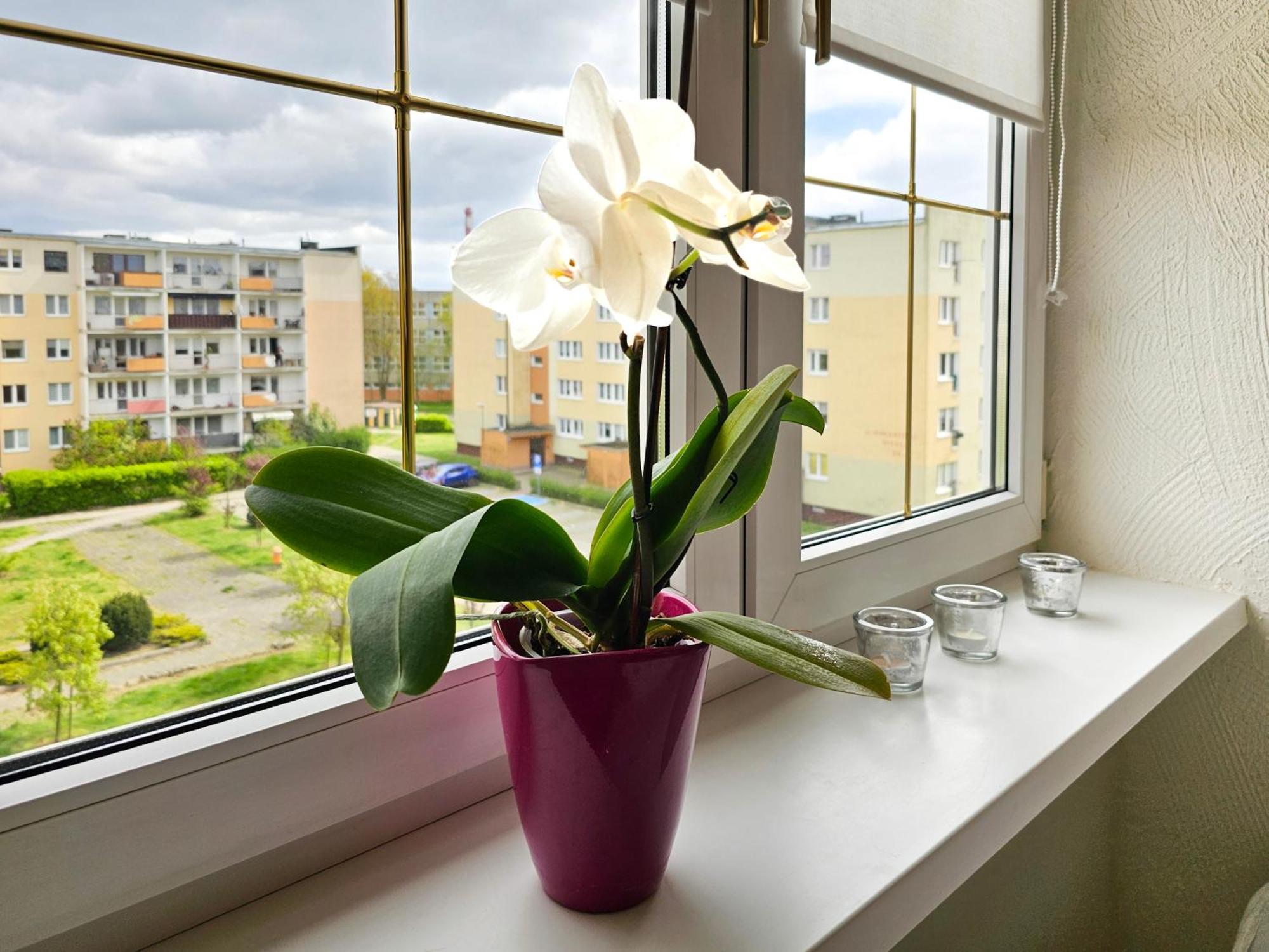 Visit Baltic - Apartament Sunny Swinoujscie Exterior photo